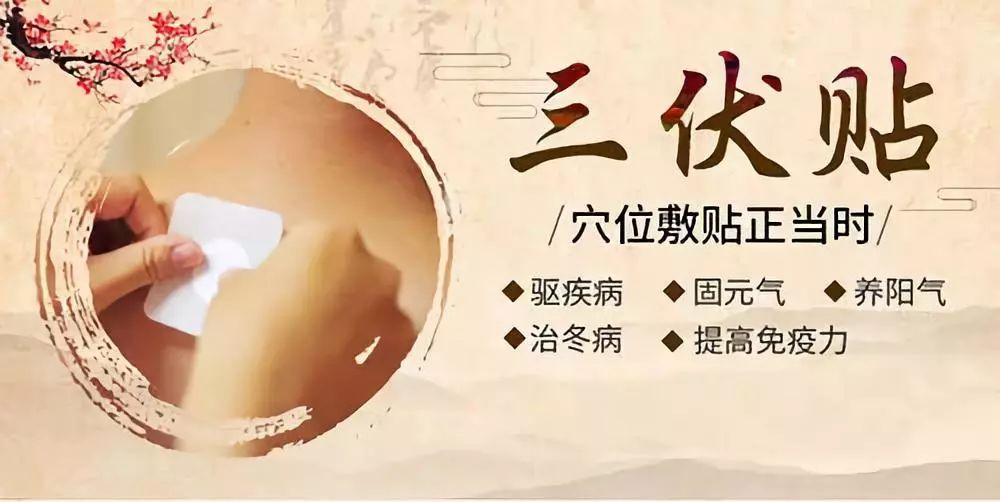 關(guān)于三伏貼，你了解多少呢？
